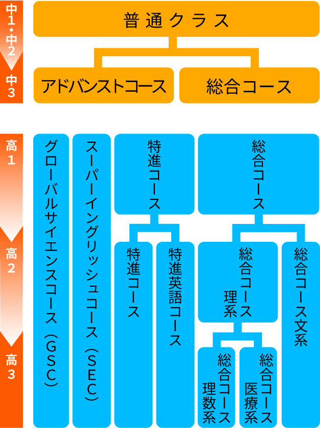 6年間のコースイメージ